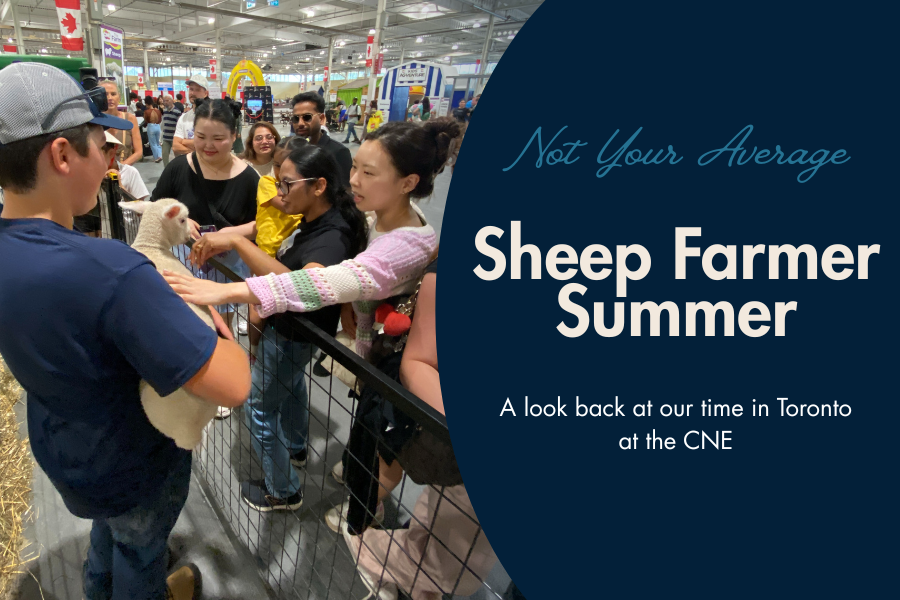 Not Your Average Sheep Farmer Summer: Our Time at the CNE