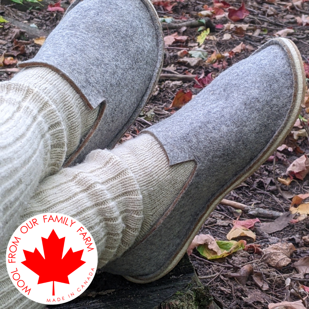 Wool Felt Slippers