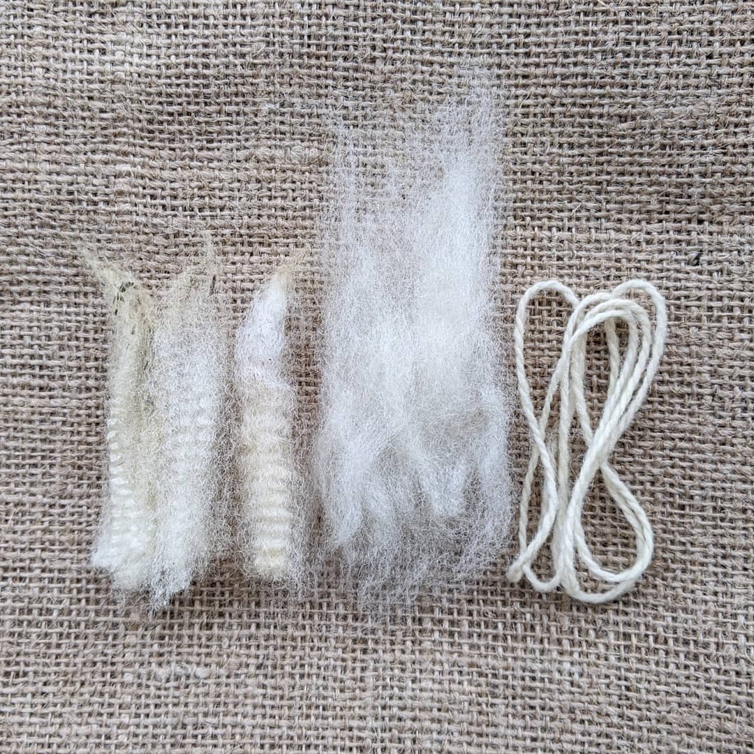 Raw Wool / Fleece