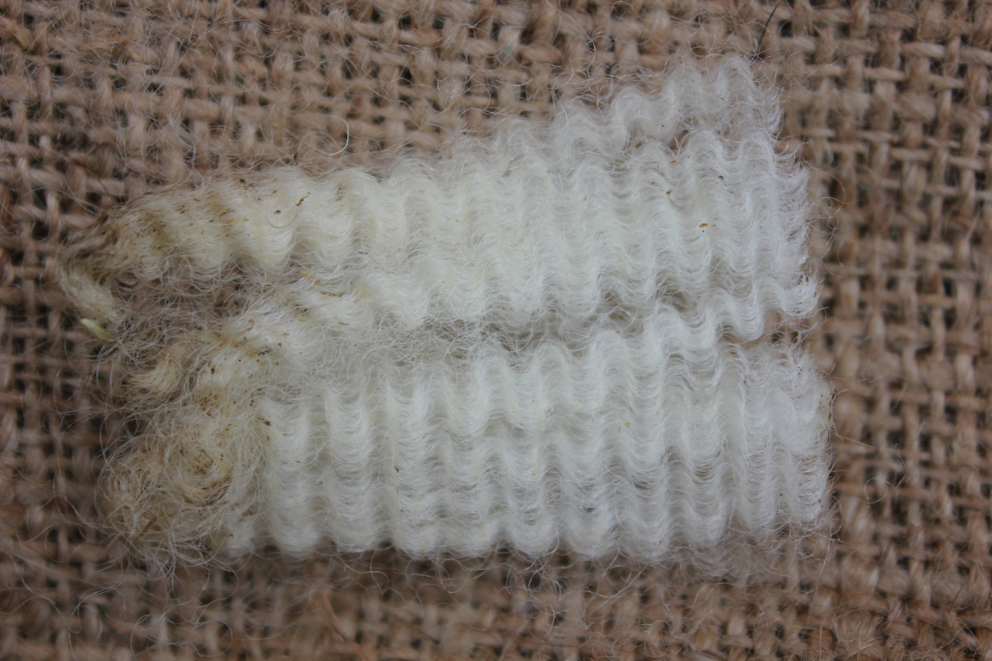 Raw Wool / Fleece