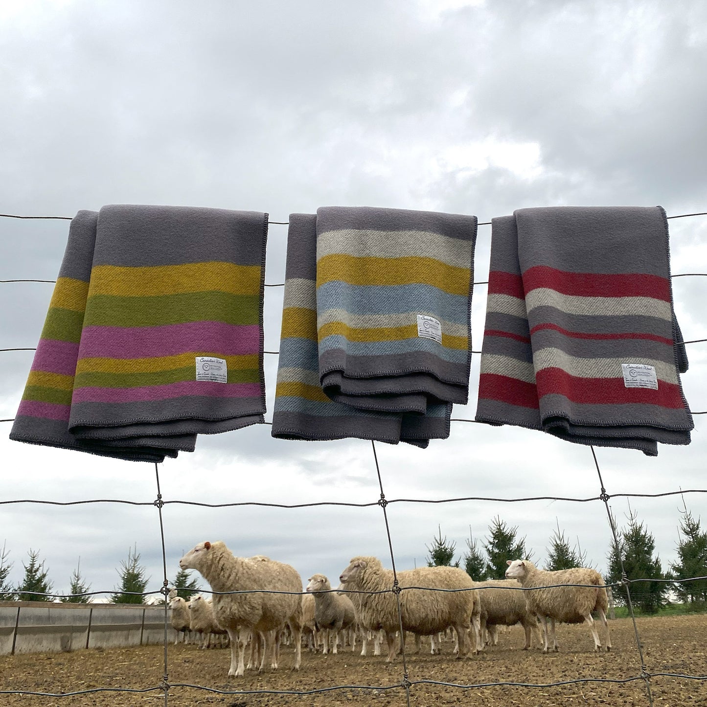 Canadian Wool Blanket - Colours of Canada Collection