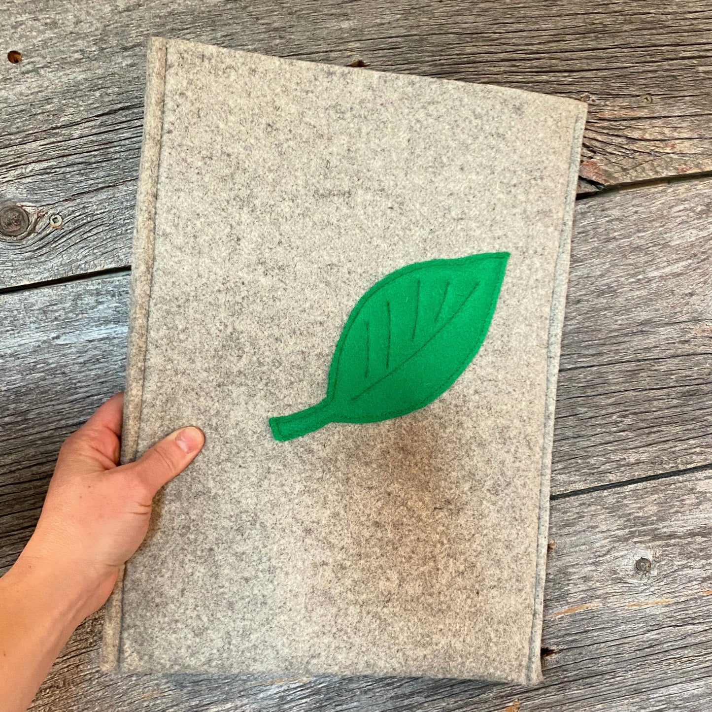 Wool Felt Laptop Pouch