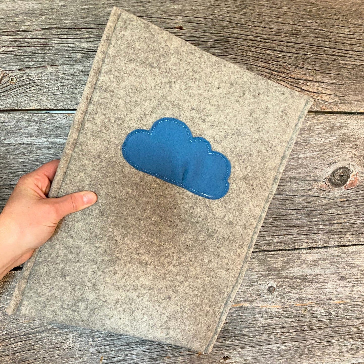Wool Felt Laptop Pouch