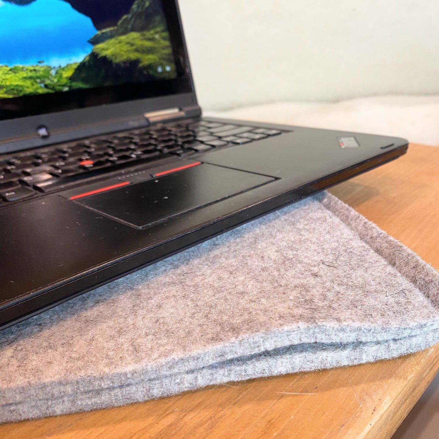 Wool Felt Laptop Pouch