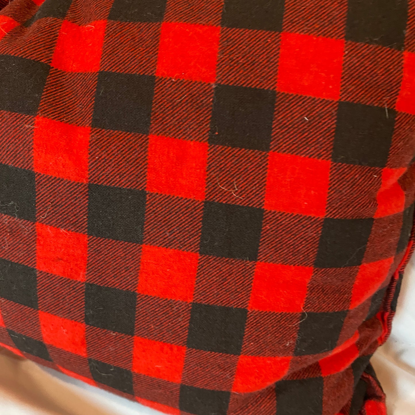 Little Wanderer Wool Pillow