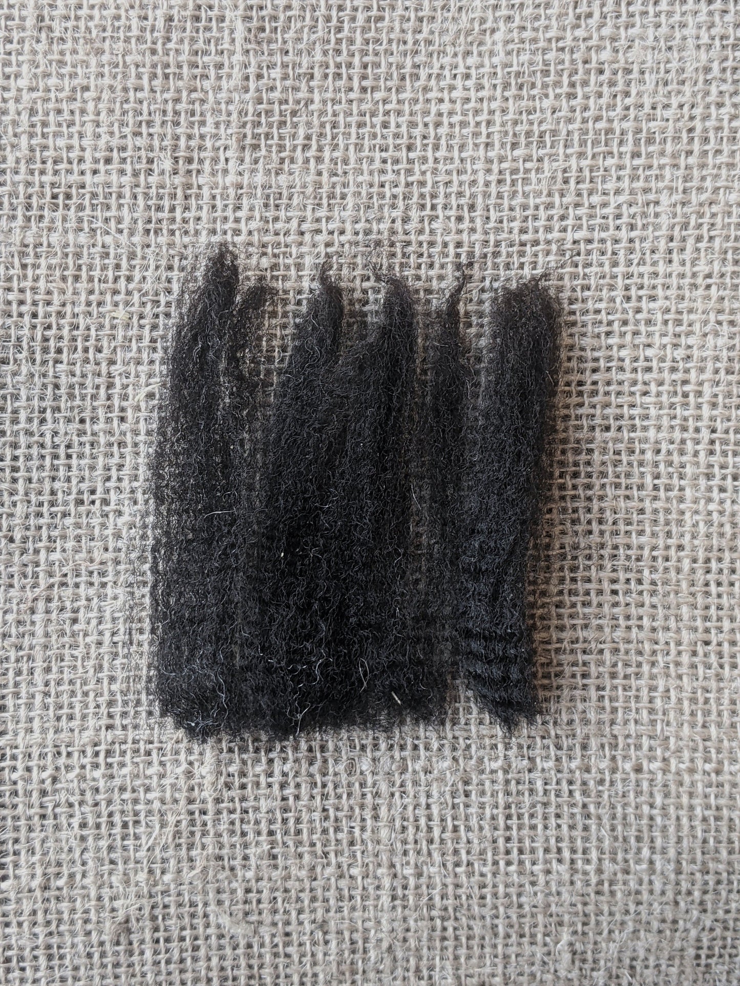 Raw Wool / Fleece