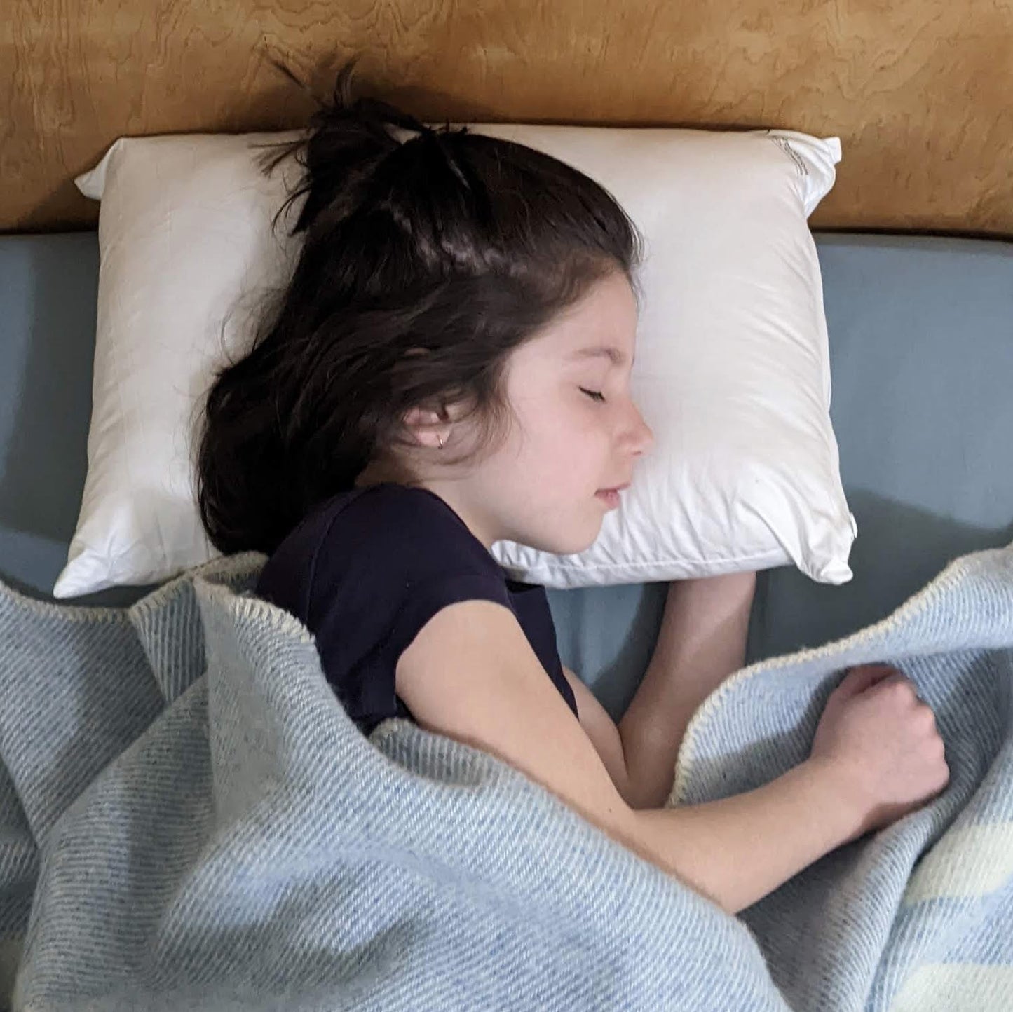 Canadian Wool Filled Pillow