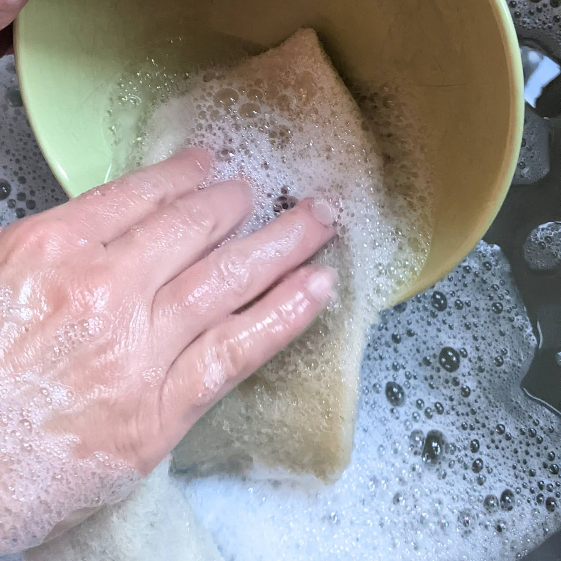 Wool Sponge