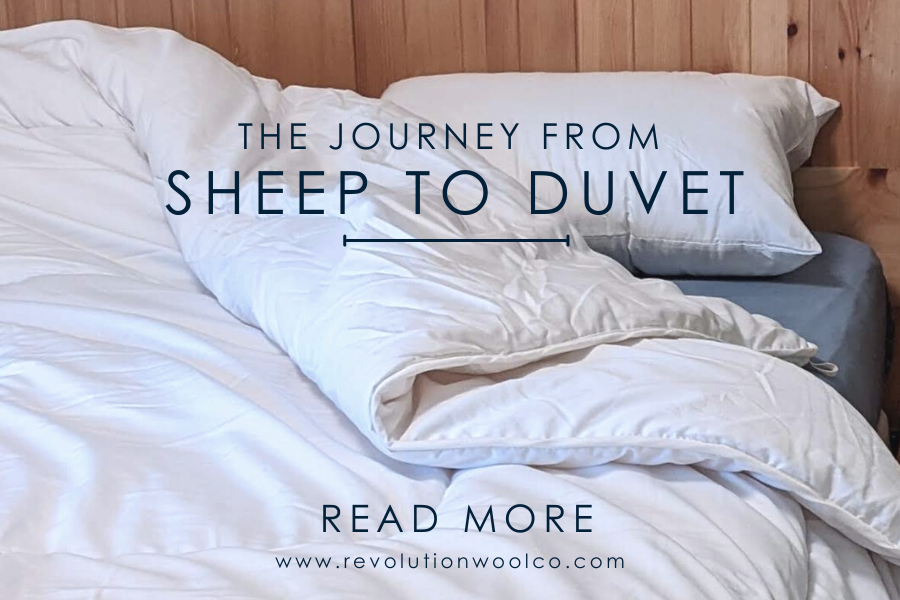 THE JOURNET FROM SHEEP TO DUVET