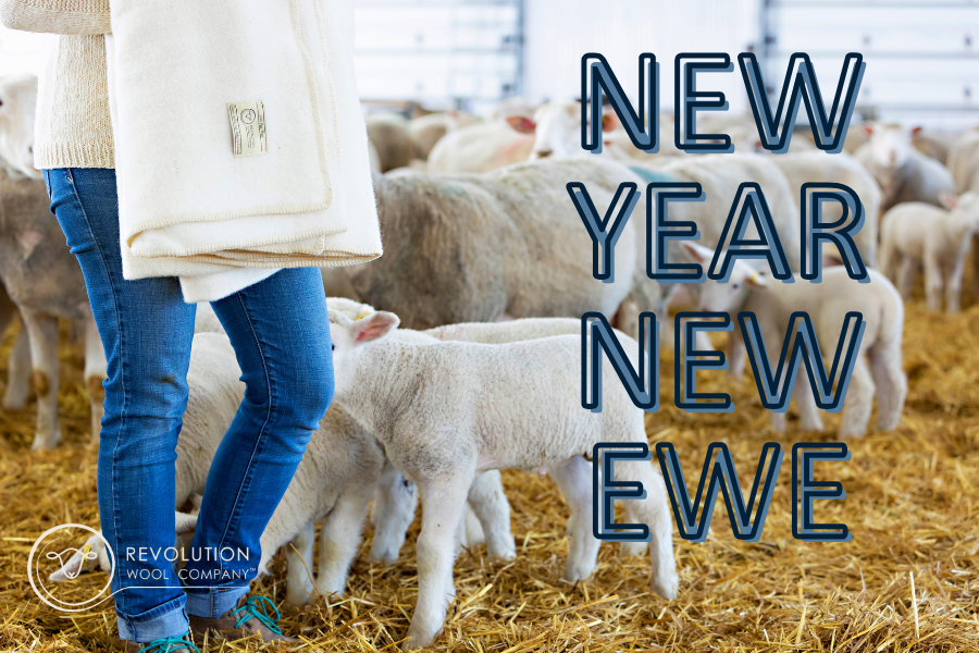Resolutions of a Shepherdess