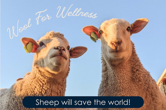 WOOL WILL SAVE THE WORLD - WOOL FOR WELLNESS