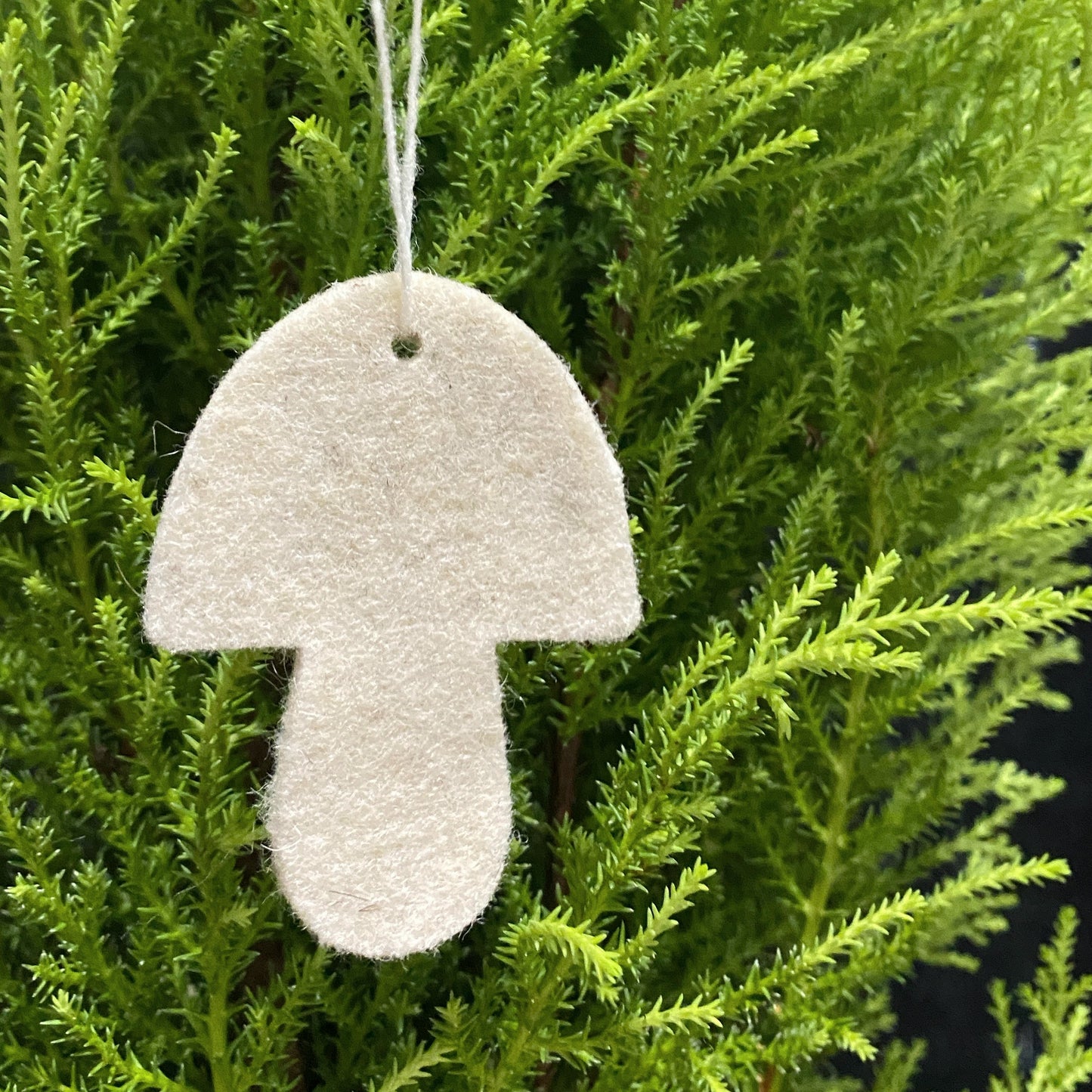 Wool Felt Ornaments