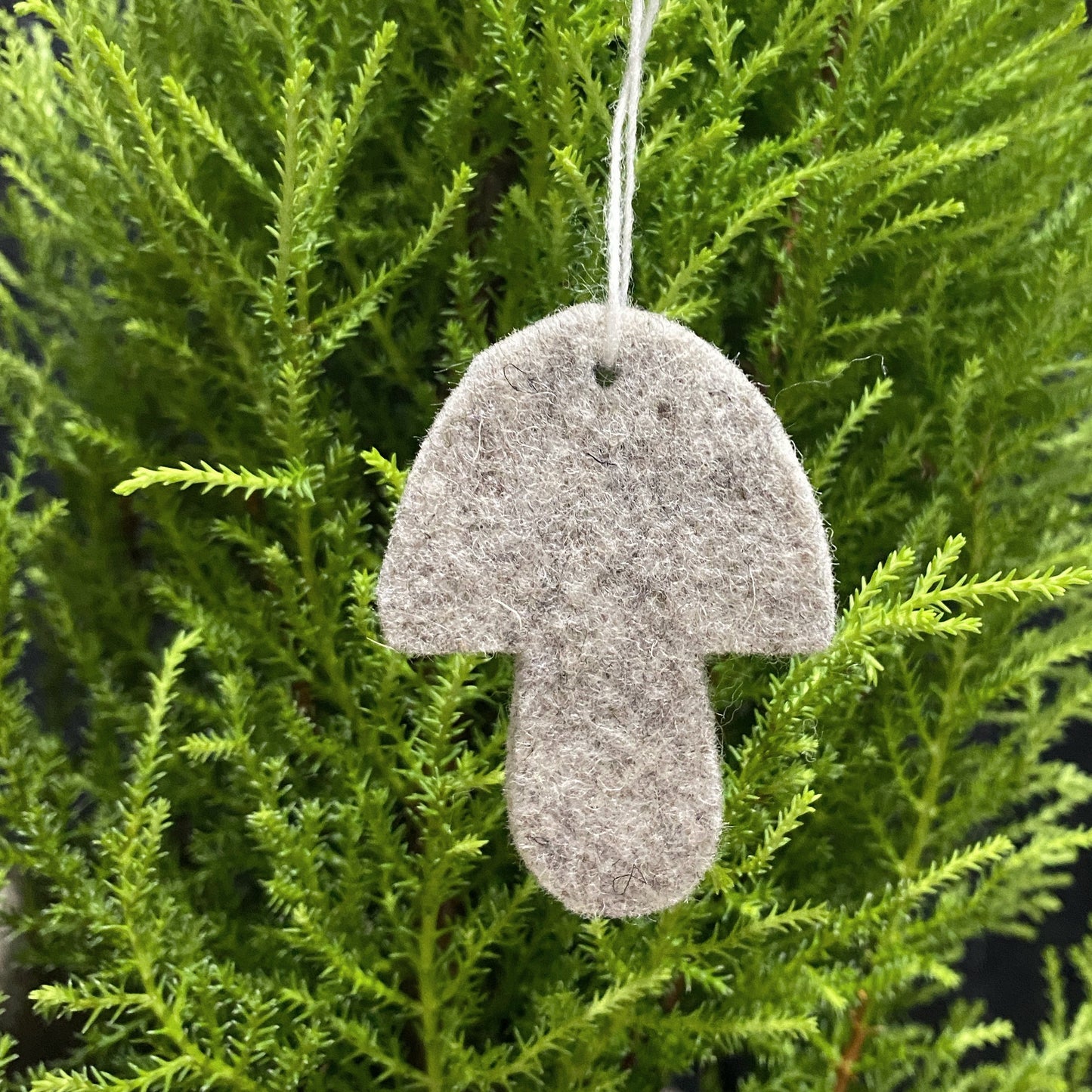Wool Felt Ornaments