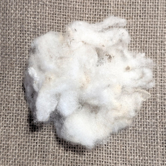 Loose Wool Filling