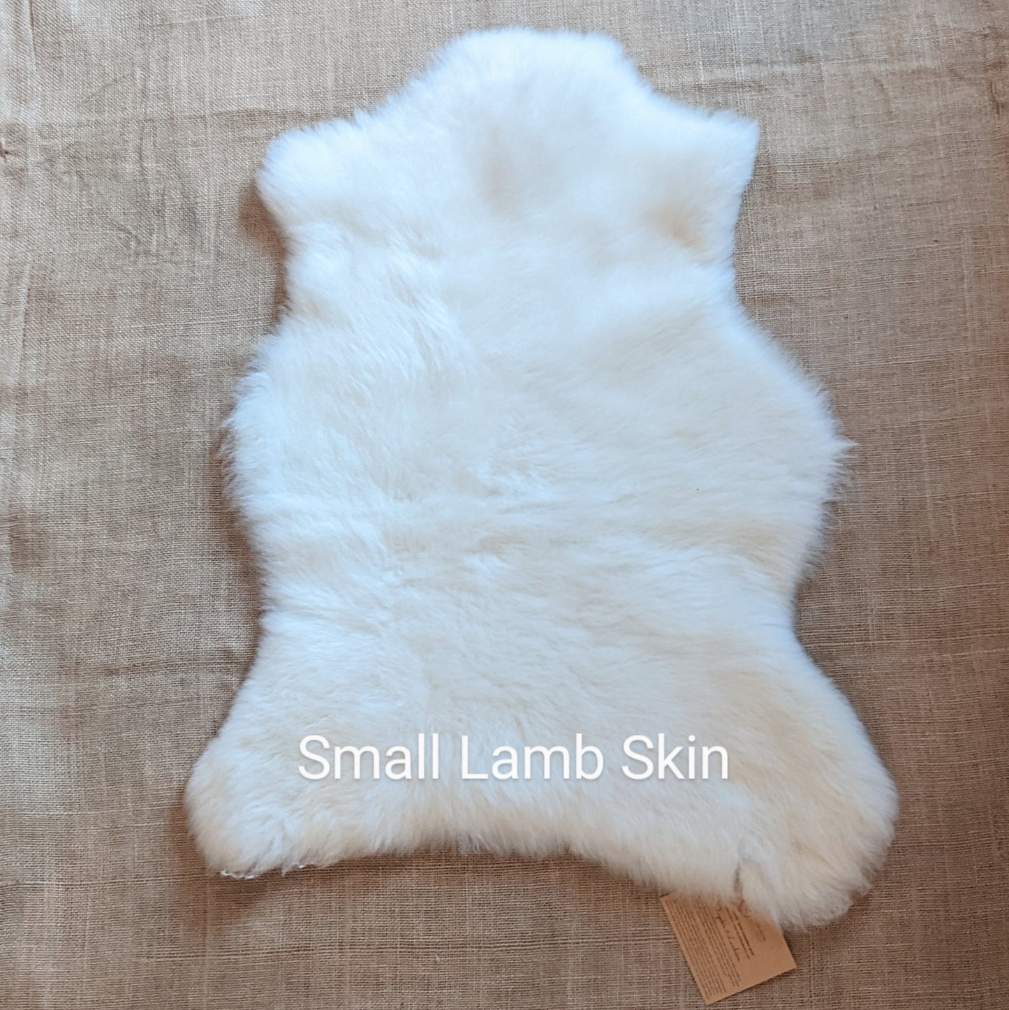 Sheep & Lamb Skins