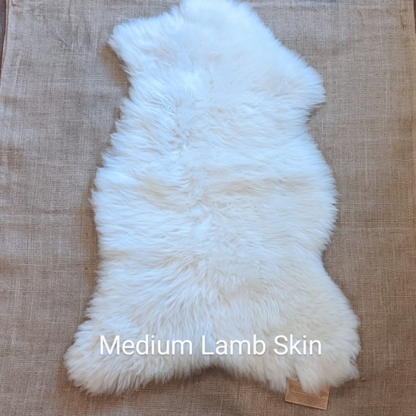 Sheep & Lamb Skins