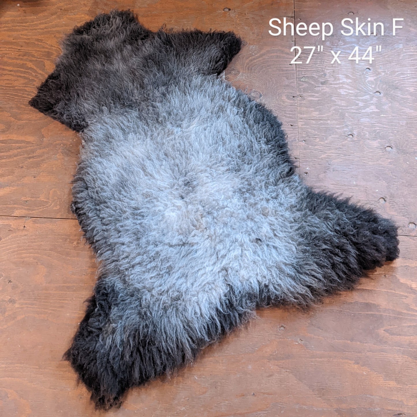 Sheep & Lamb Skins