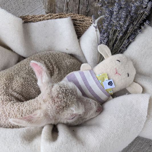 Wool + Lavender Lamb