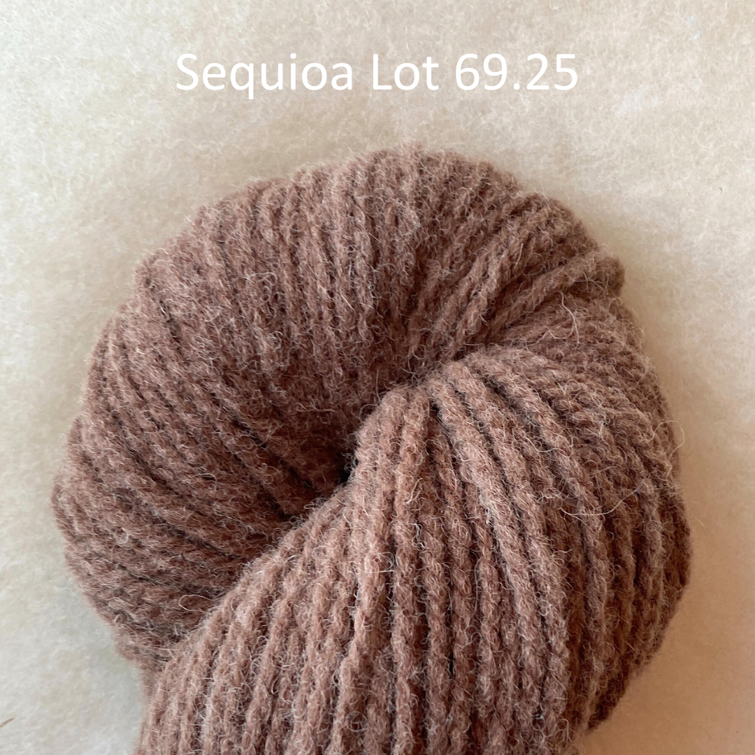 Wool Yarn "Growth" 2ply DK