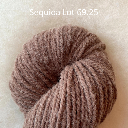 Wool Yarn "Growth" 2ply DK