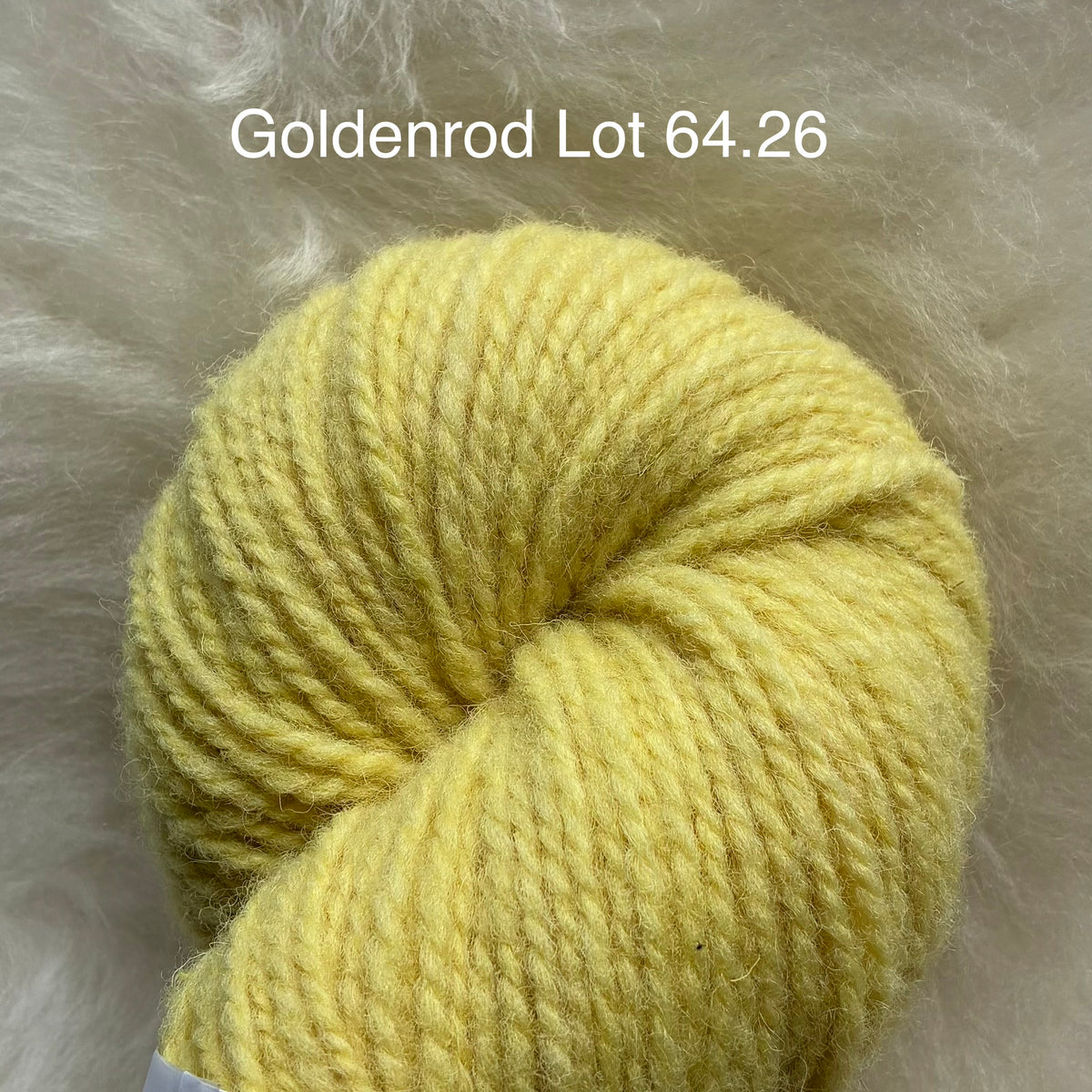 Wool Yarn "Growth" 2ply DK