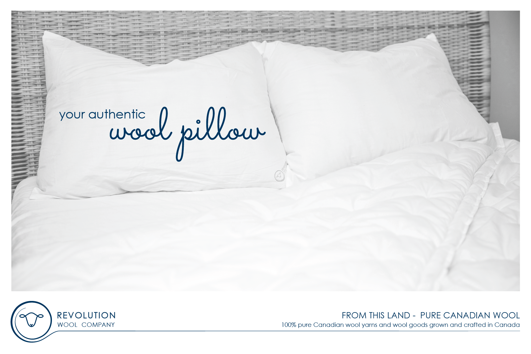 Wool Filled Pillow
