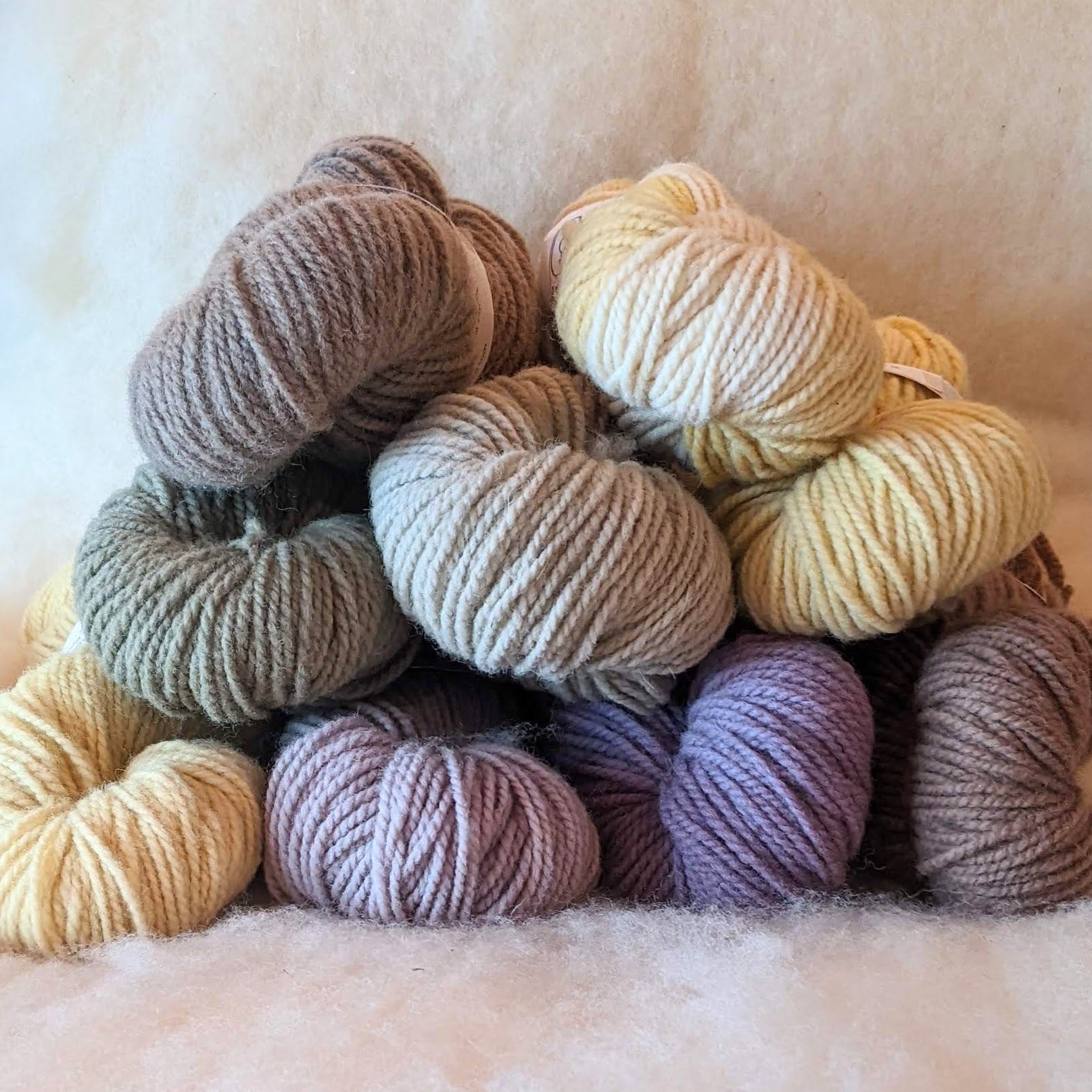 Forage Yarn - 2ply Worsted