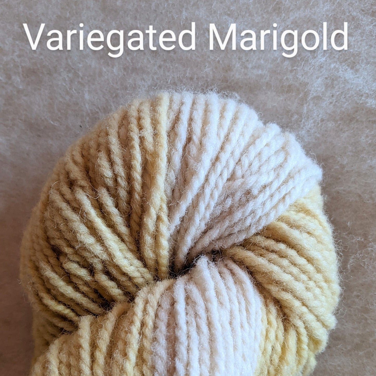 Forage Yarn - 2ply Worsted