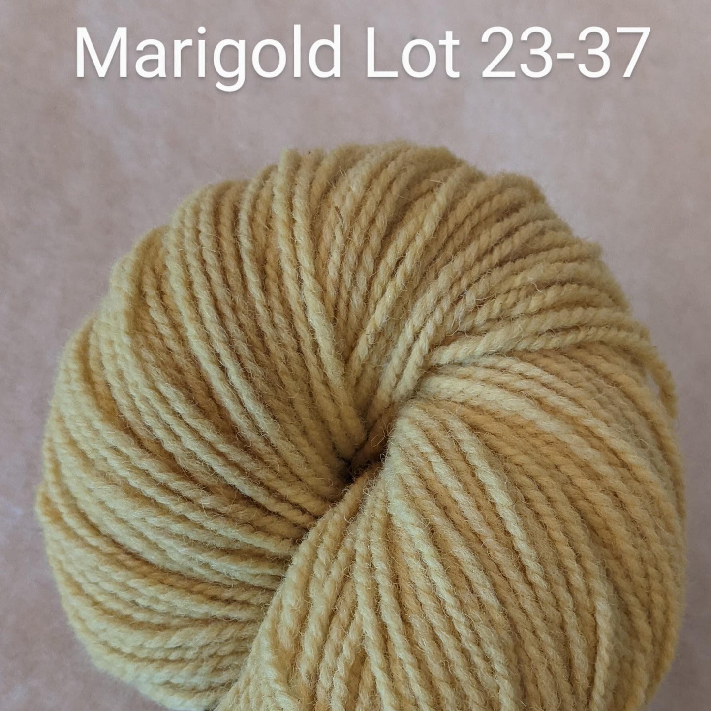 Growth Yarn - 2ply DK