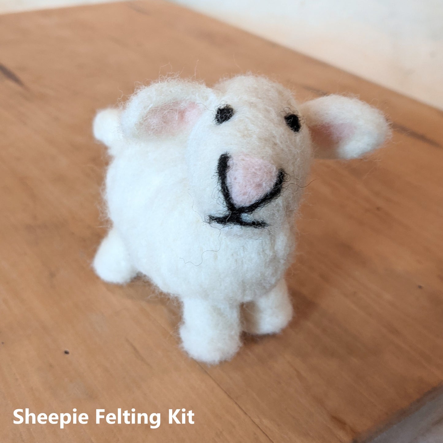 Needle Felting Kit