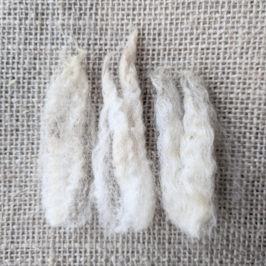 Raw Wool / Fleece